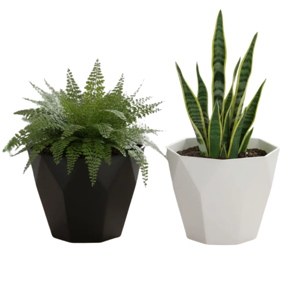 Set de 2 Maceteros Geométricos Blanco y Negro