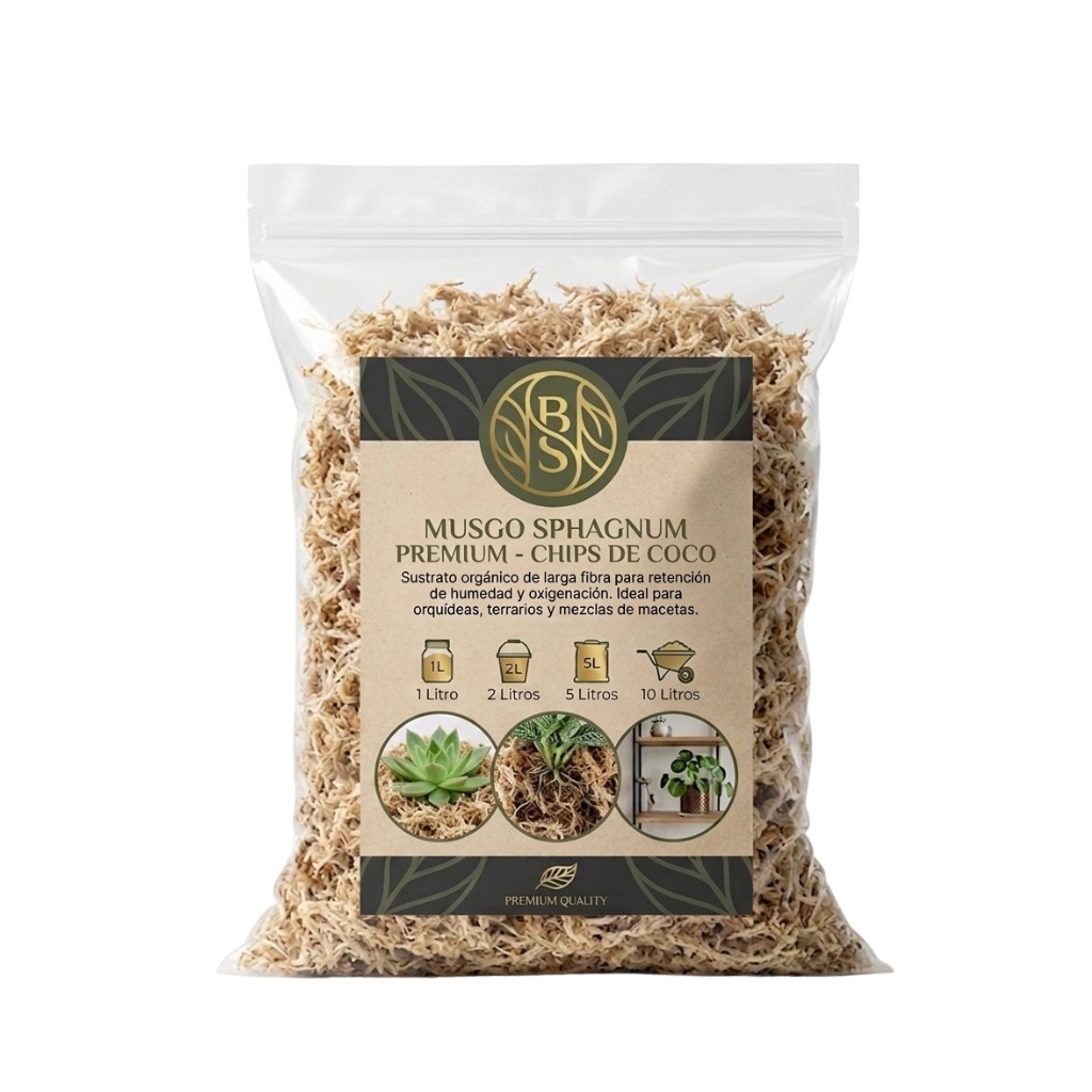 Musgo Sphagnum