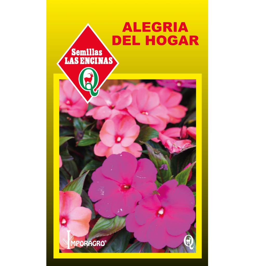 Semilla Alegria Del Hogar