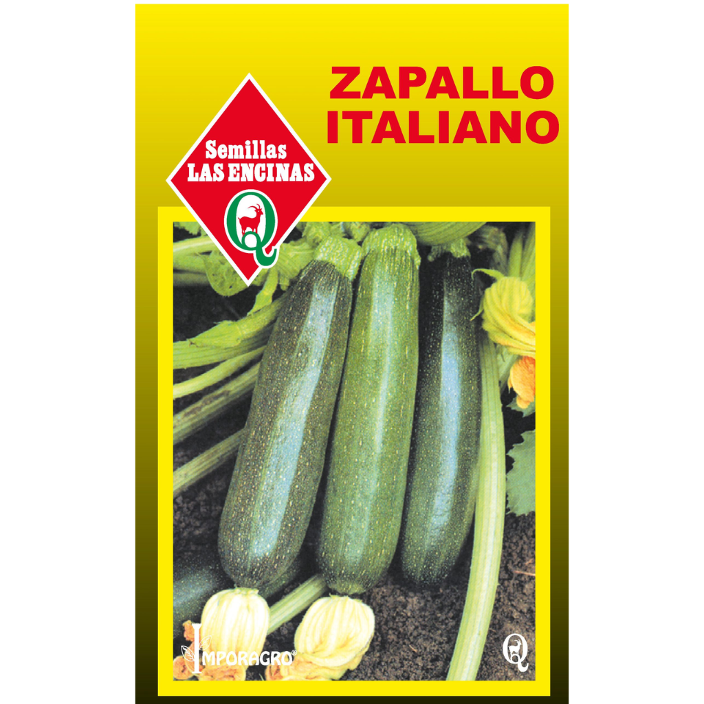 Semilla Zapallo Variedad