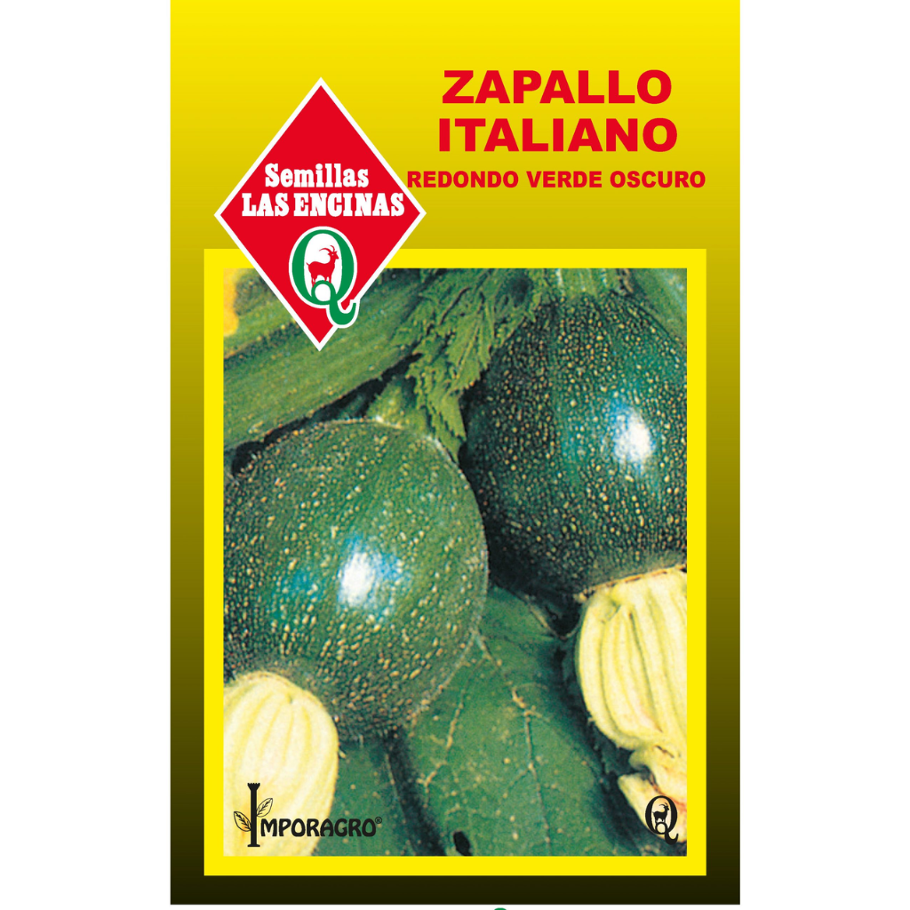 Semilla Zapallo Variedad